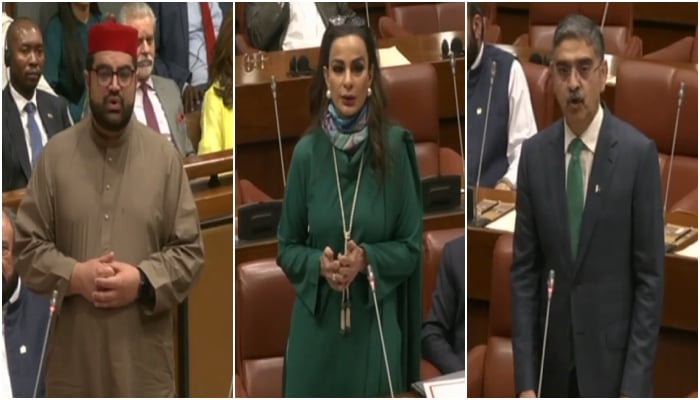 (From right to left) Senators Anwaar-ul-Haq Kakar, Sherry Rehman and Aimal Wali Khan addressing the Senate session on May 22, 2025. —Screengrab/YouTube/@SenateofPakistanOfficial