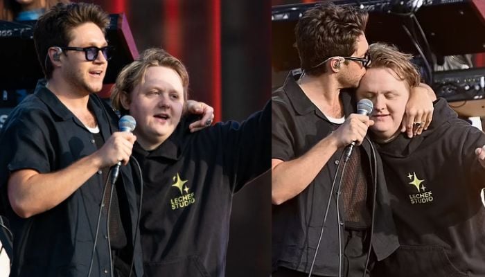 Lewis Capaldis old pal Niall Horan reacts to formers comeback